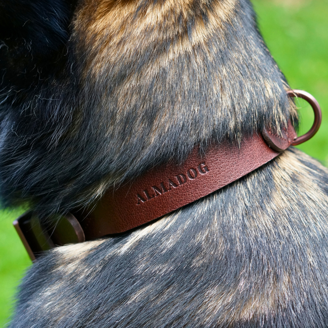 Hundehalsband Albbüffel - Glattes Büffelleder braun