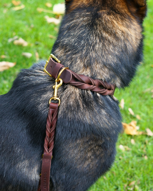 Freihandleine Abby - Geflochtenes Fettleder kastanienbraun