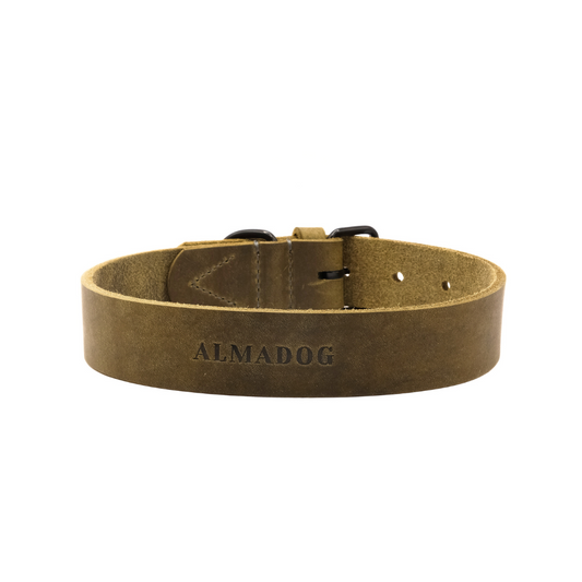 Hundehalsband Joker - Glattes Fettleder olivgrün