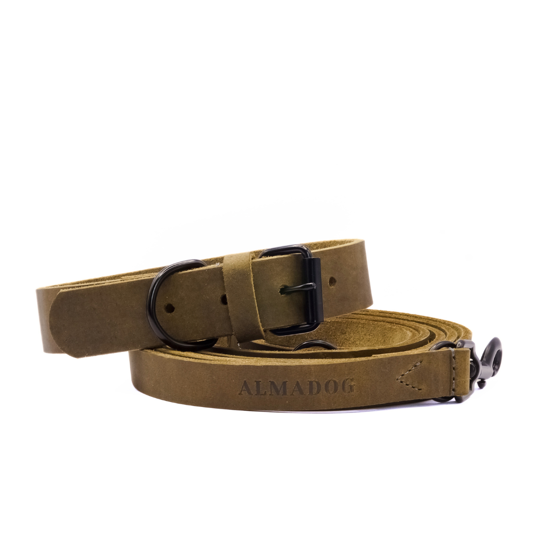 Hundehalsband Joker - Glattes Fettleder olivgrün