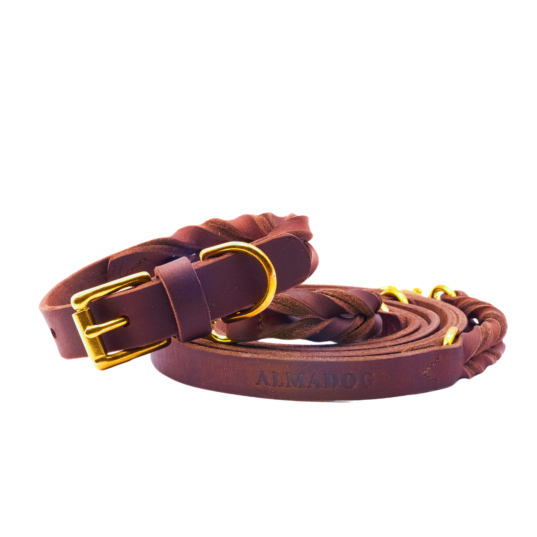 Hundeleine Abby - Verstellbar - Geflochtenes Fettleder kastanienbraun