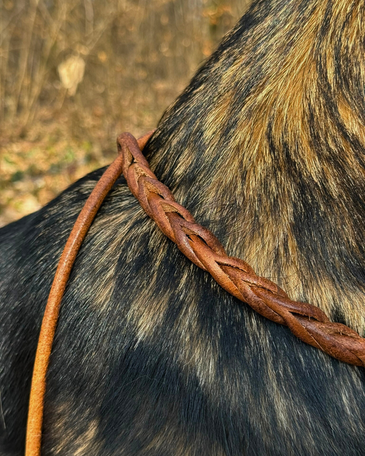 FlĂŒsterleine Silent - Lautlose UmhĂ€ngeleine - Pirschleine aus Rundleder, ohne Metall