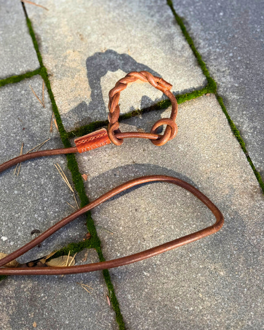 Flüsterleine Silent - Lautlose Umhängeleine mit 150cm Umhängeschlaufe - Pirschleine aus Rundleder, ohne Metall