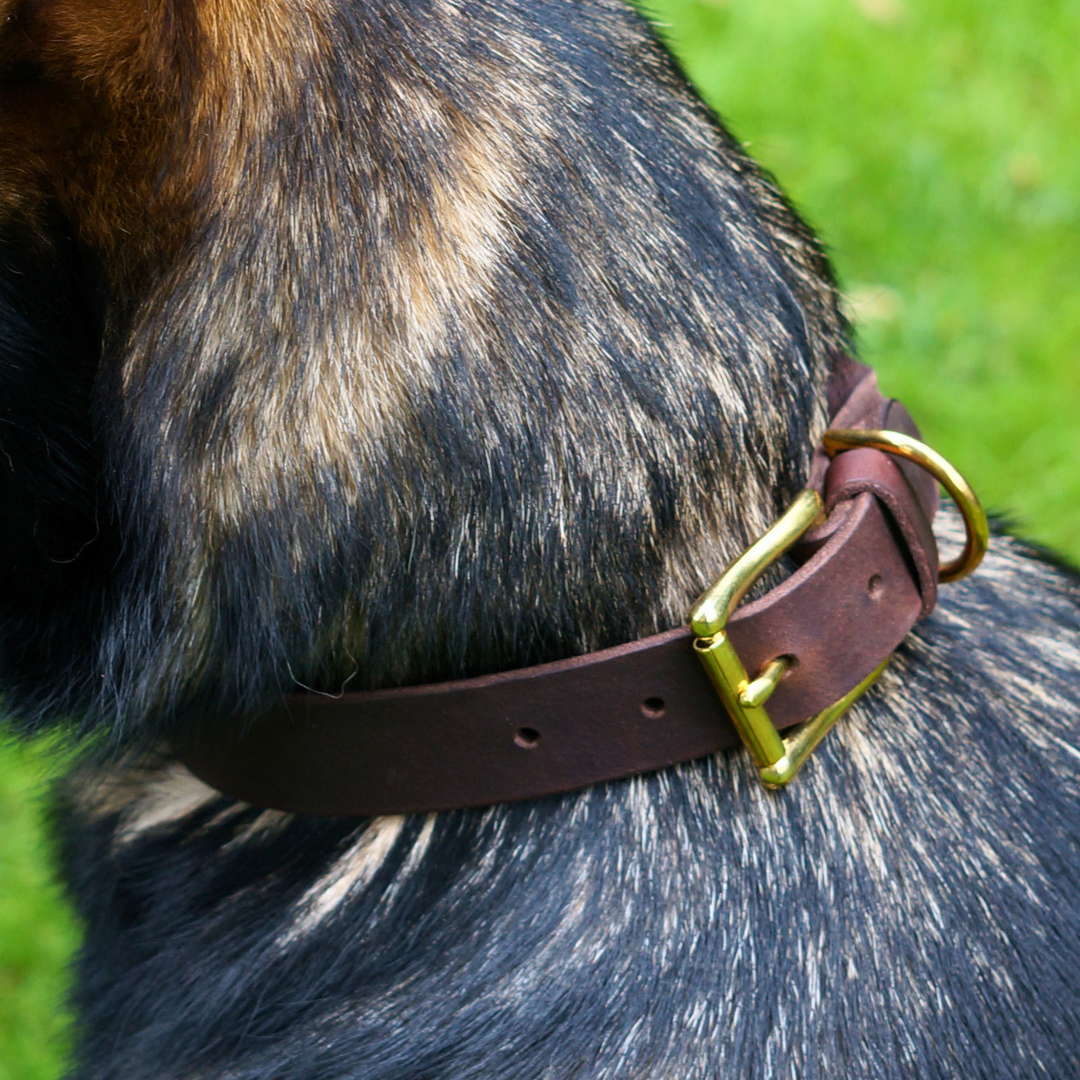 Hundehalsband Fettleder geflochten und glatt, zeitlos und nachhaltig