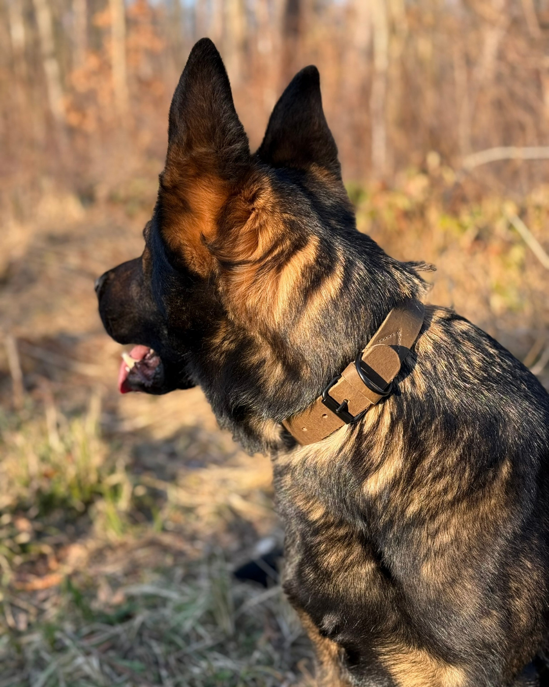 Hundehalsband aus pflanzlich gegerbtem, weichem Naturleder