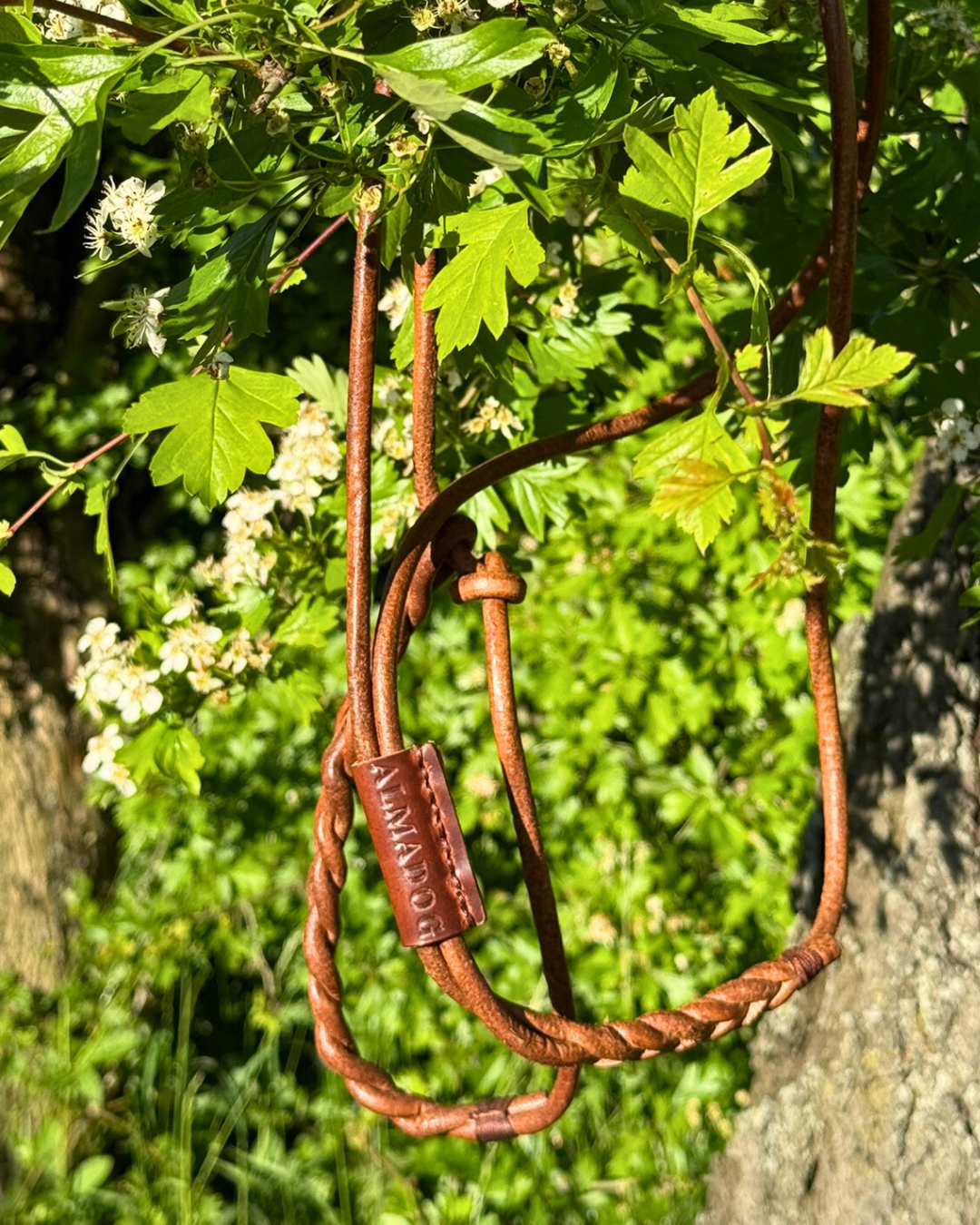 Nachhaltige Hundeleine aus pflanzlich gegerbtem Rundleder. Handgemacht in Deutschland. Lautlose Flüsterleine zum Pirschen und Jagen. 