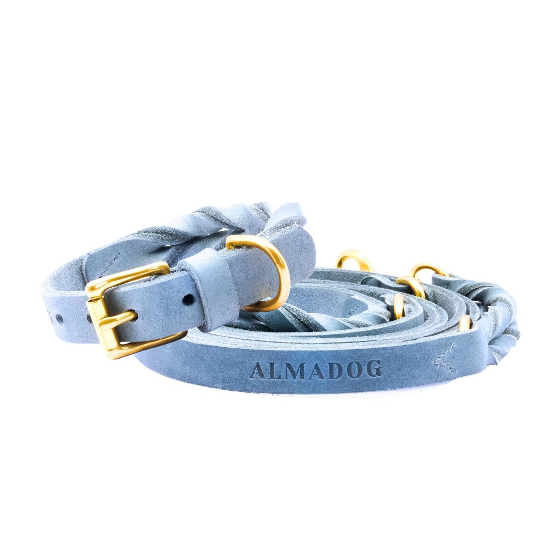 Set: Hundehalsband und Leine aus weichem Fettleder. Goldene Messingschnalle und -ringe, steingraues Leder. 