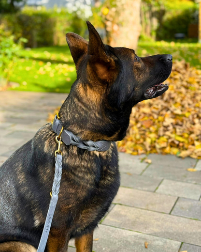 Hundehalsband Abby - Fettleder geflochten grau