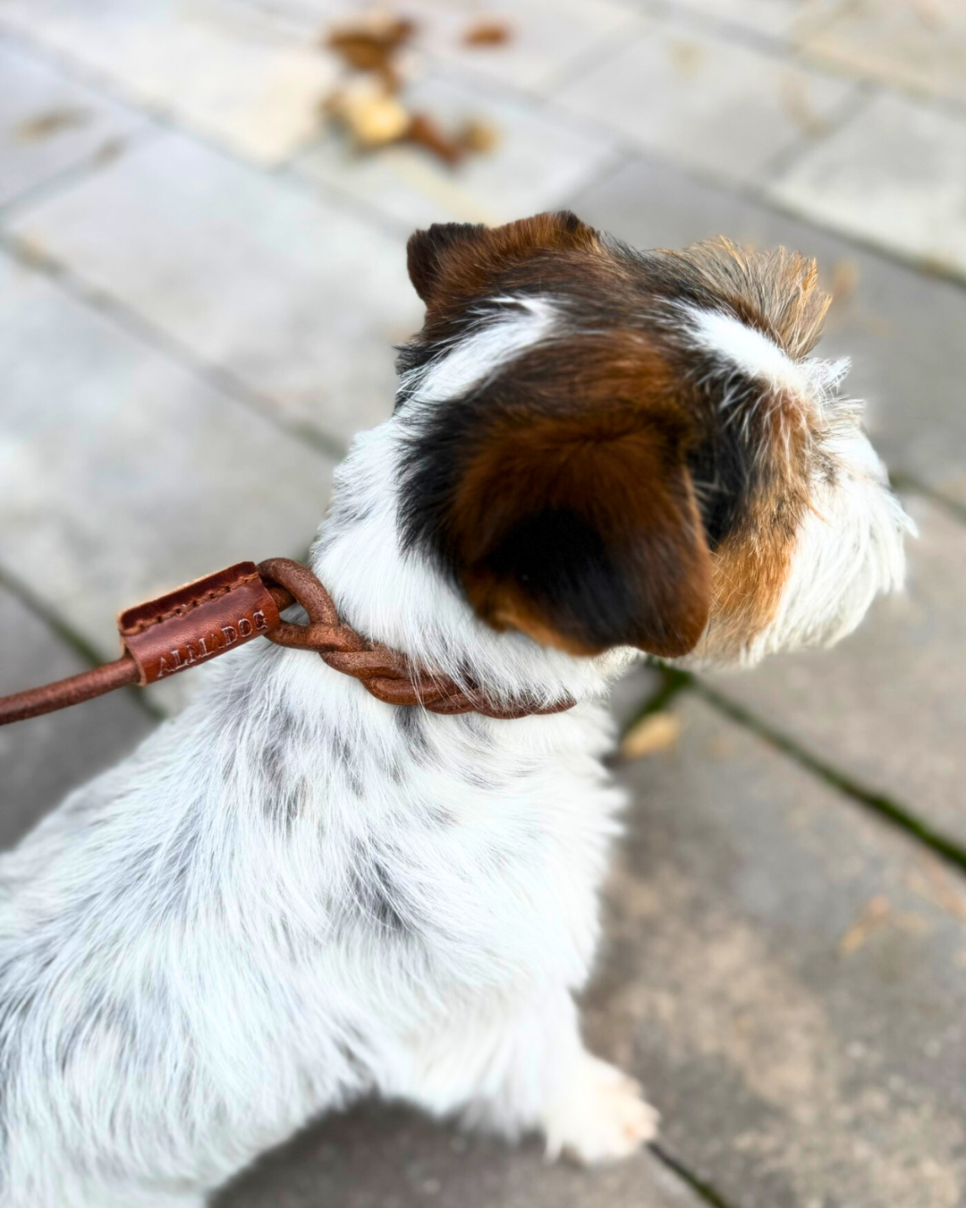 Flüsterleine Silent - Lautlose Umhängeleine mit 150cm Umhängeschlaufe - Pirschleine aus Rundleder, ohne Metall