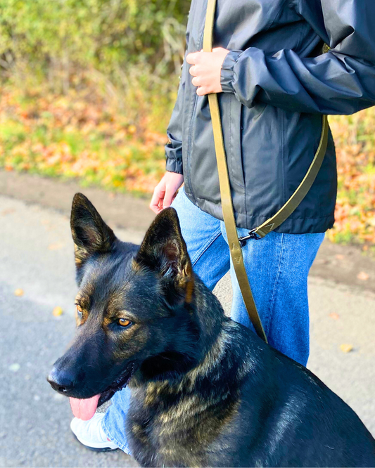 Umhängeleine Joker - Glattes Fettleder olivgrün