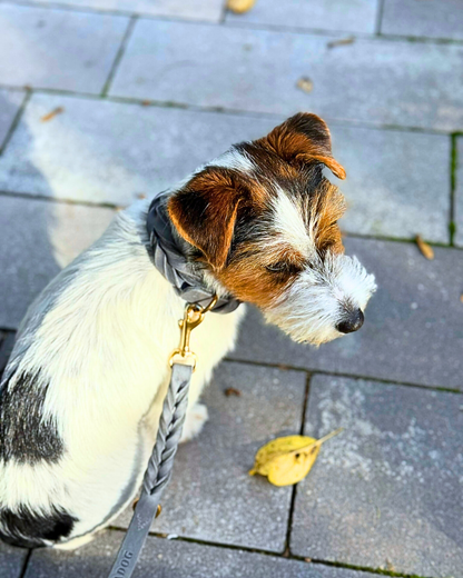 Verstellbare Freihandleine Abby - Geflochtenes Fettleder grau