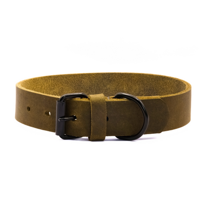 B-Ware: Hundehalsband Joker - Glattes Fettleder olivgrün