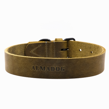 B-Ware: Hundehalsband Joker - Glattes Fettleder olivgrün