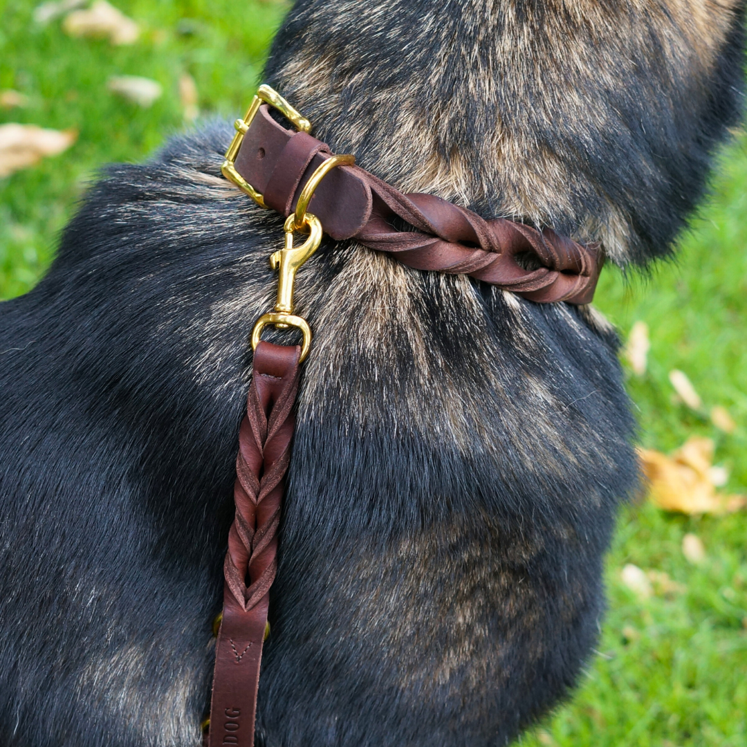 Set aus Hundehalsband und Hundeleine in kastanienbraunem Fettleder mit Flechtung aus nachhaltigem Rindsleder