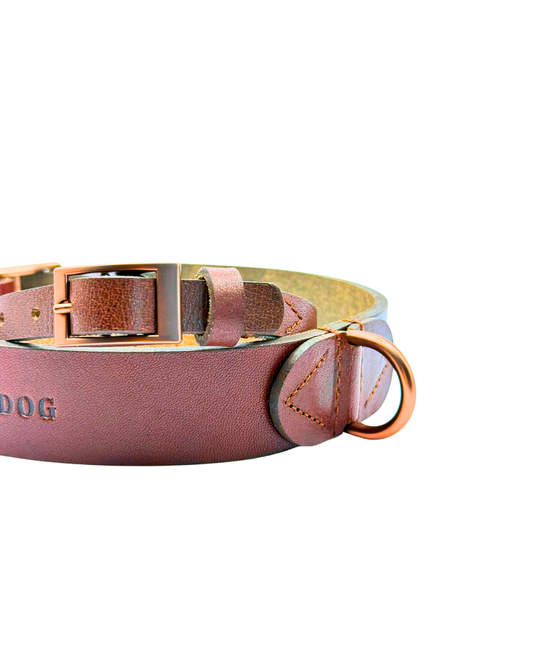 Hundehalsband Albbüffel - Glattes Büffelleder braun