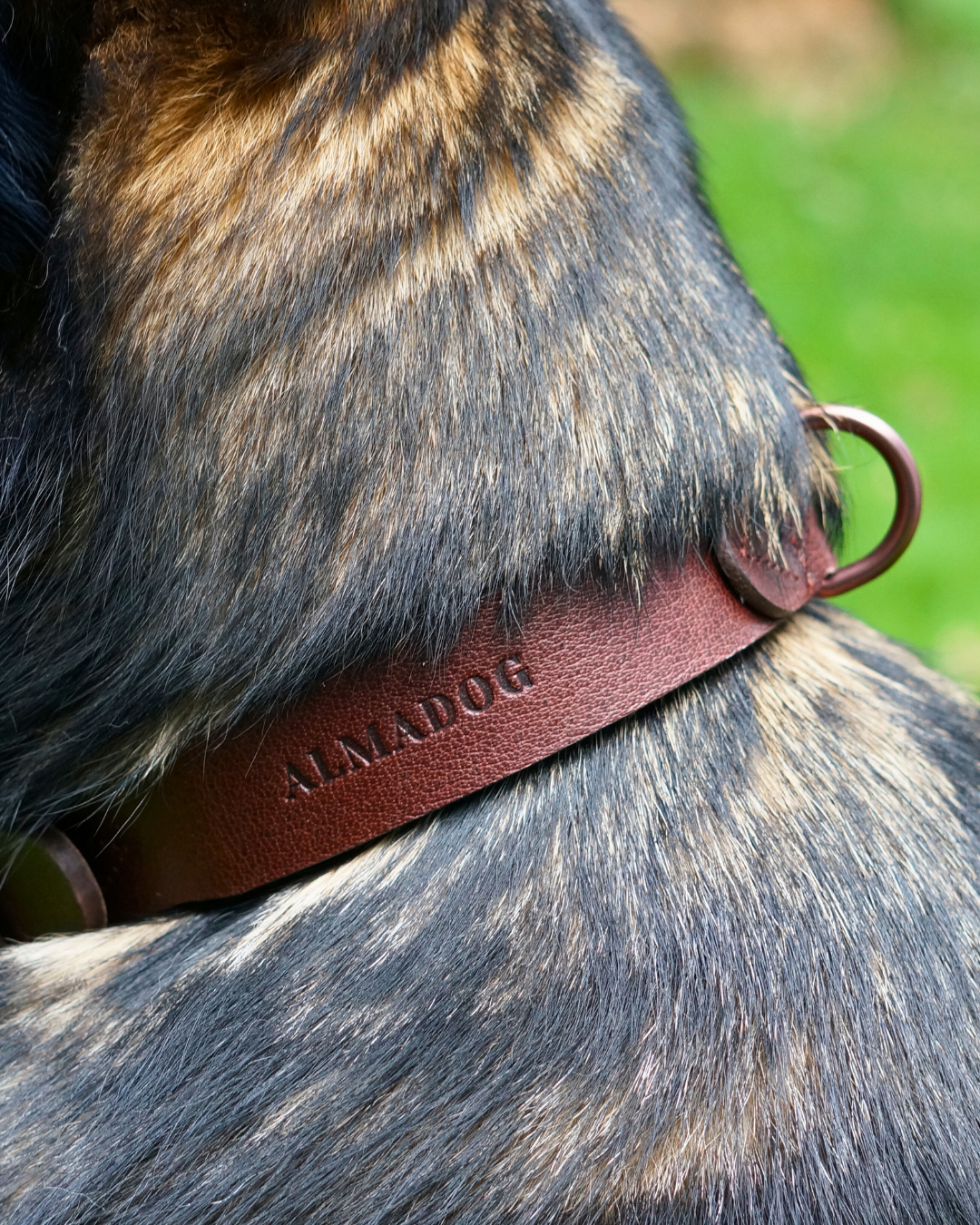 Hundehalsband Albbüffel - Glattes Büffelleder braun