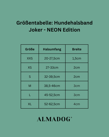 Hundehalsband Joker NEON - Weiches Fettleder Olivgrün