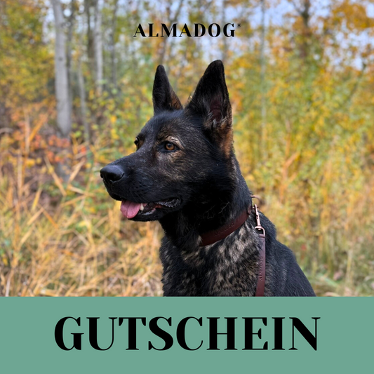 Geschenkgutschein