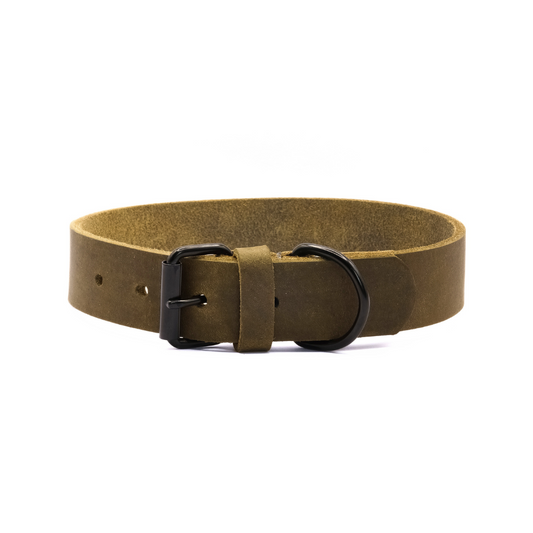 Hundehalsband Joker - Glattes Fettleder olivgrün