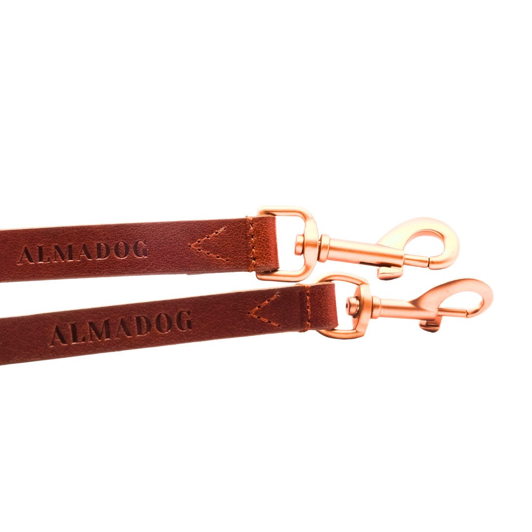 Hundeleine Leder Albbüffel City - Büffelleder braun