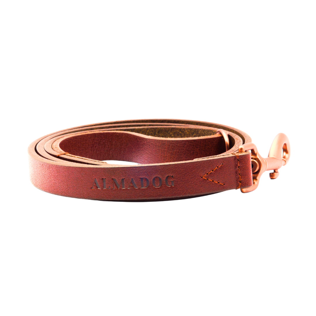 Hundeleine Leder Albbüffel City - Büffelleder braun