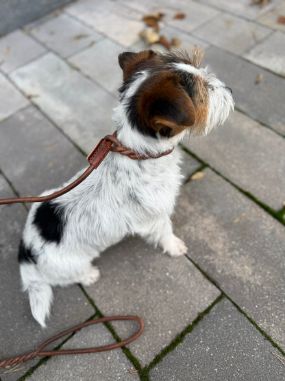 Flüsterleine Silent - Kurze Führleine - Lautlose Retrieverleine aus Rindsrundleder braun