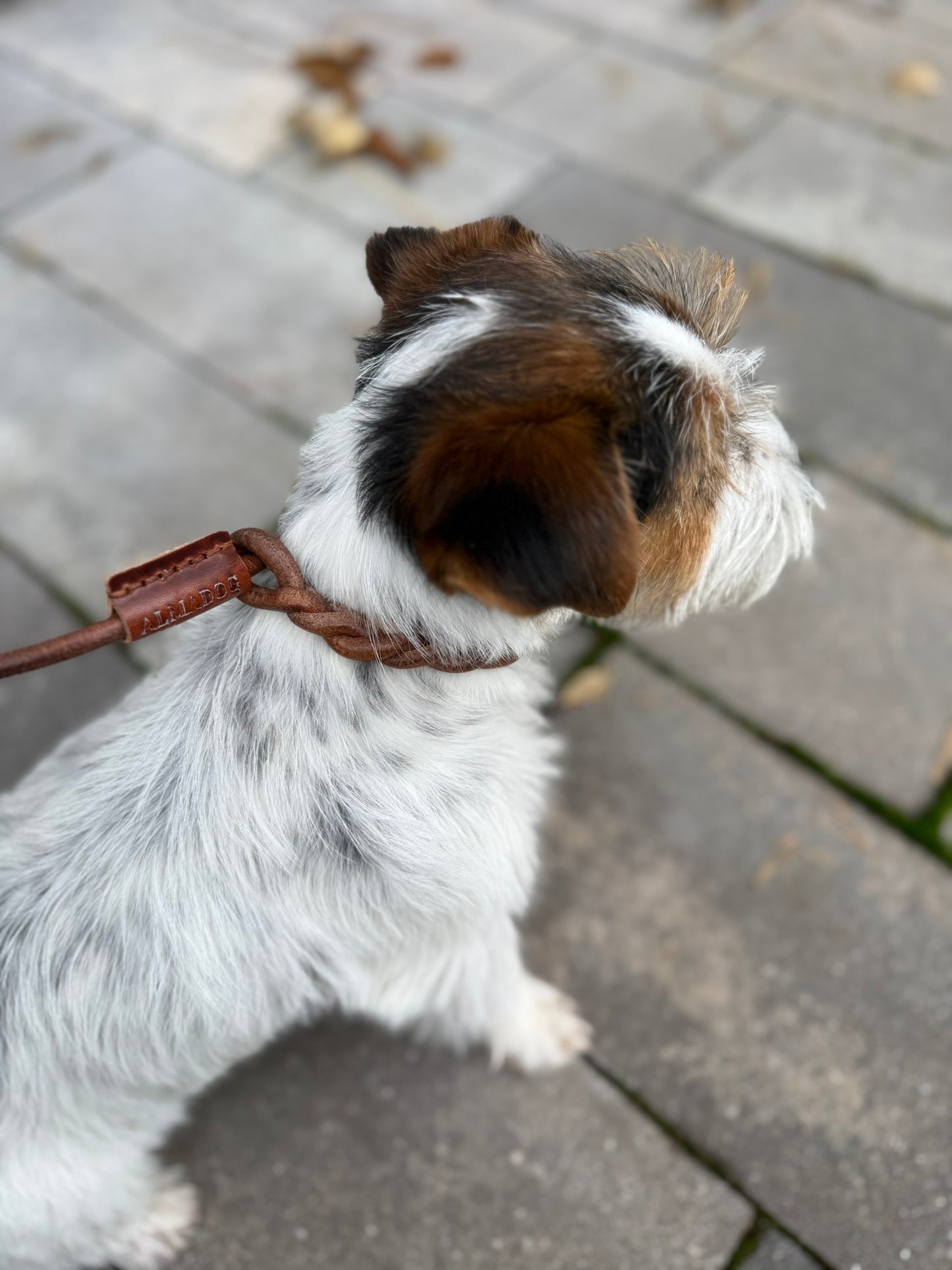 Flüsterleine Silent - Kurze Führleine - Lautlose Retrieverleine aus Rindsrundleder braun