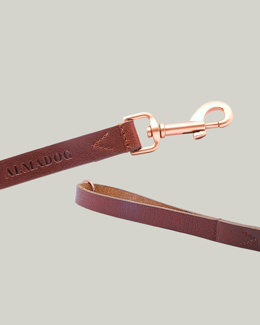 Hundeleine Leder Albbüffel City - Büffelleder braun
