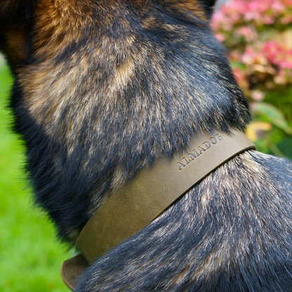 B-Ware: Hundehalsband Joker - Glattes Fettleder olivgrün