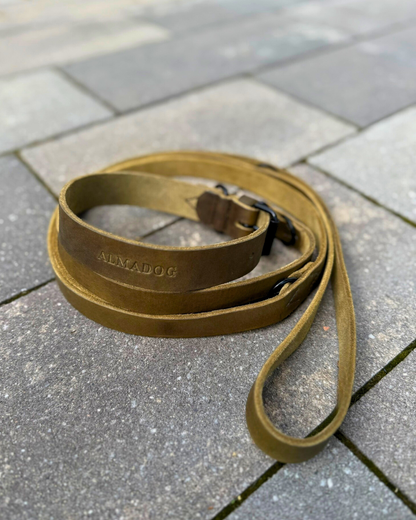 Hundehalsband Joker - Glattes Fettleder olivgrün