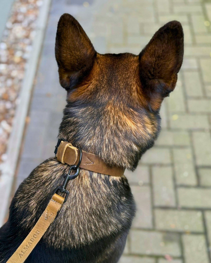 Hundehalsband Joker - Glattes Fettleder olivgrün