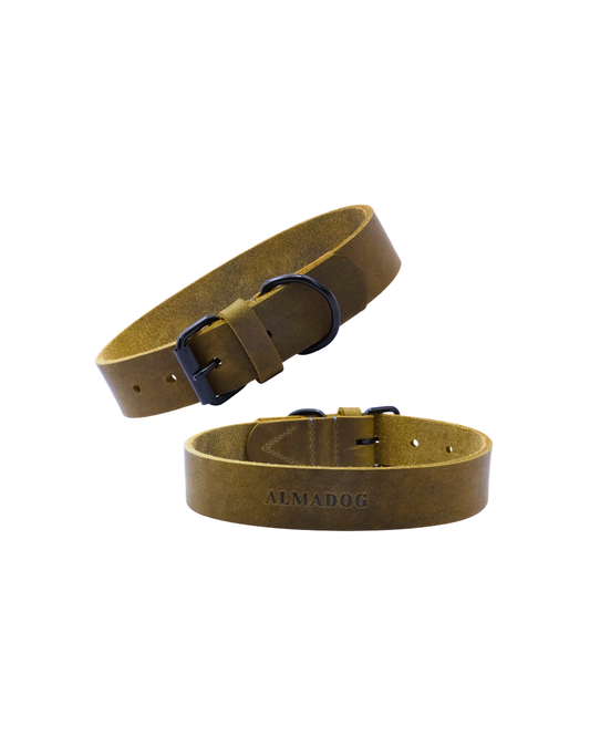 Hundehalsband Joker - Glattes Fettleder olivgrün