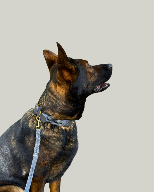 Verstellbare Freihandleine Abby - Geflochtenes Fettleder grau