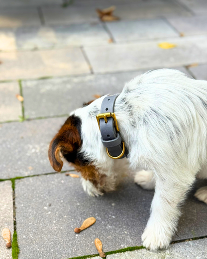 Hundehalsband Abby - Fettleder geflochten grau