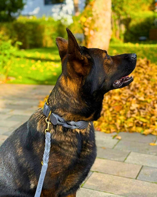 Verstellbare Hundeleine Abby aus grauem Fettleder, Ansicht 2