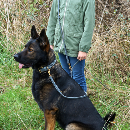 Umhängeleine für Hunde Leder grau